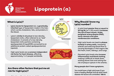 lpa|what does lpa mean.